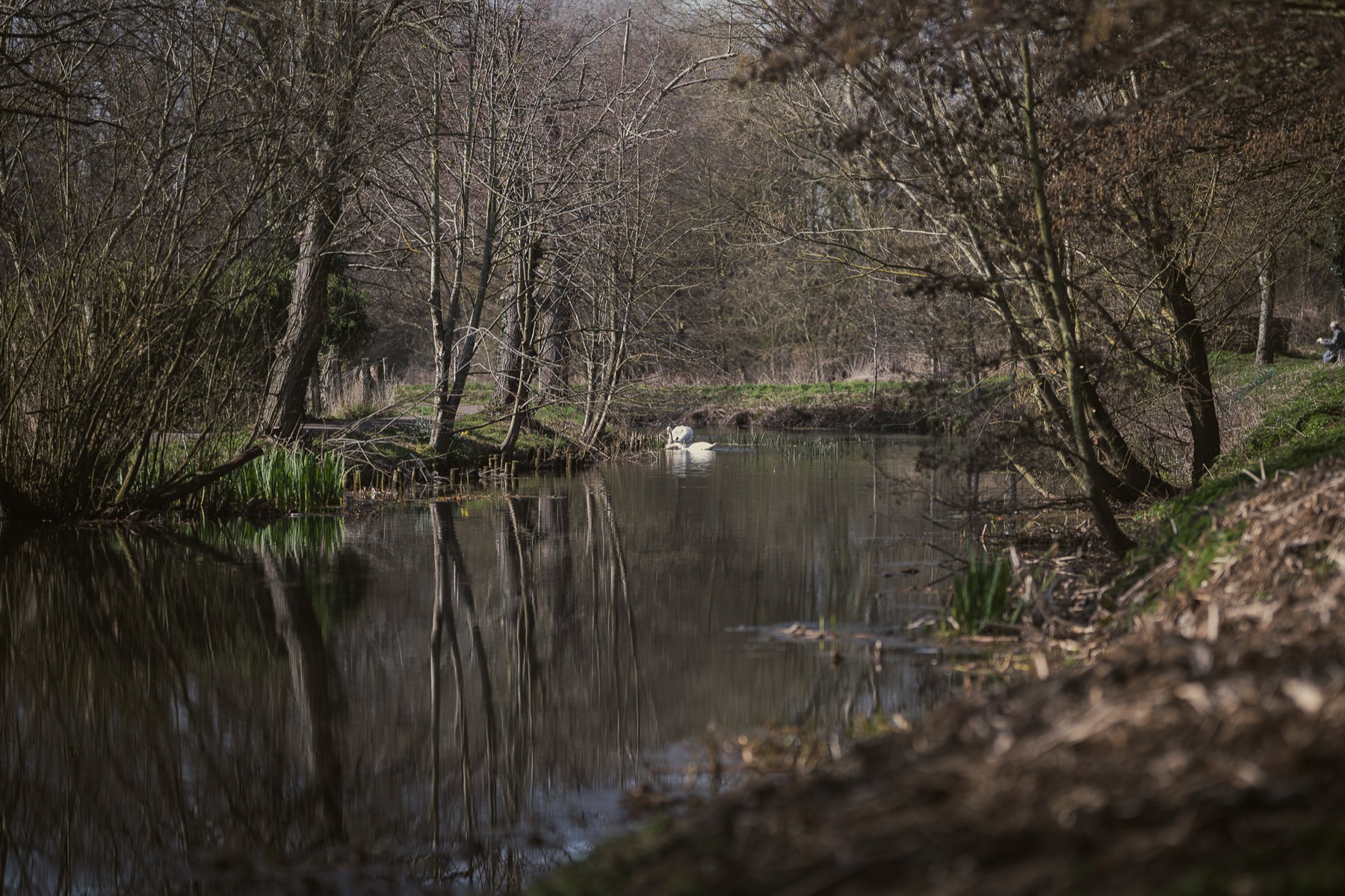The River Slea running beside Cogglesford Mill.
