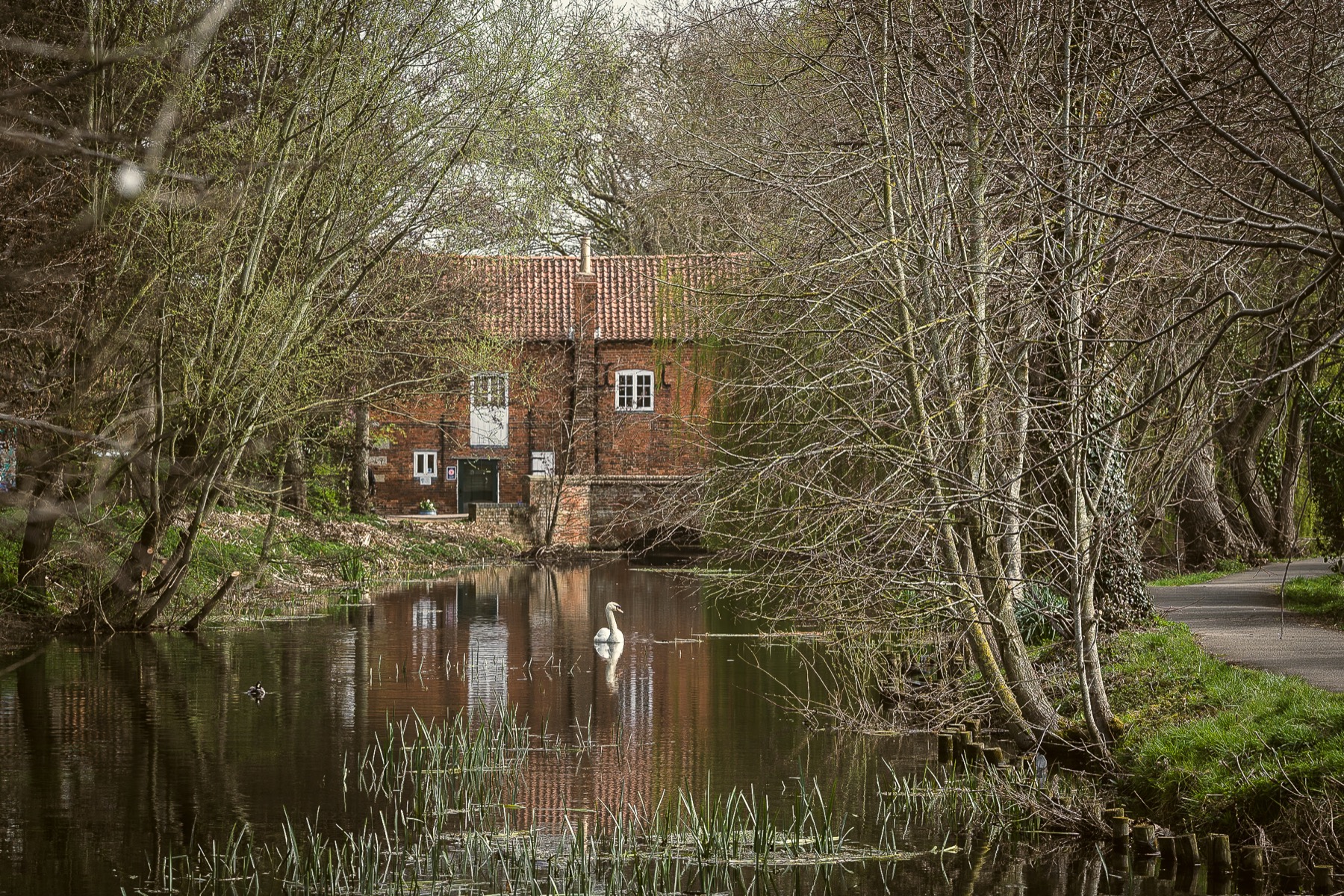 Cogglesford Mill seen in soft light beside the River Slea.