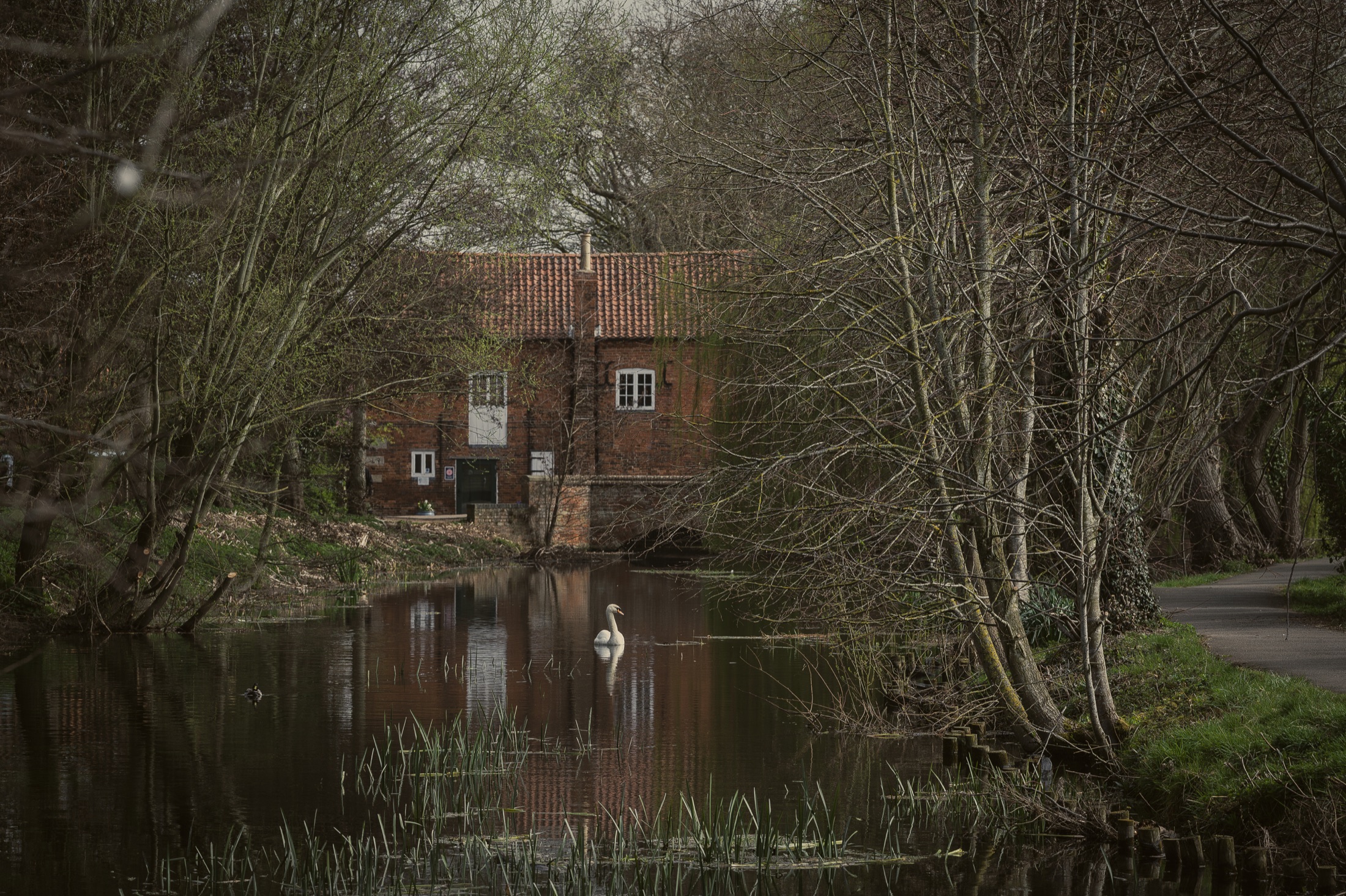 A wider landscape view along the River Slea near Cogglesford.