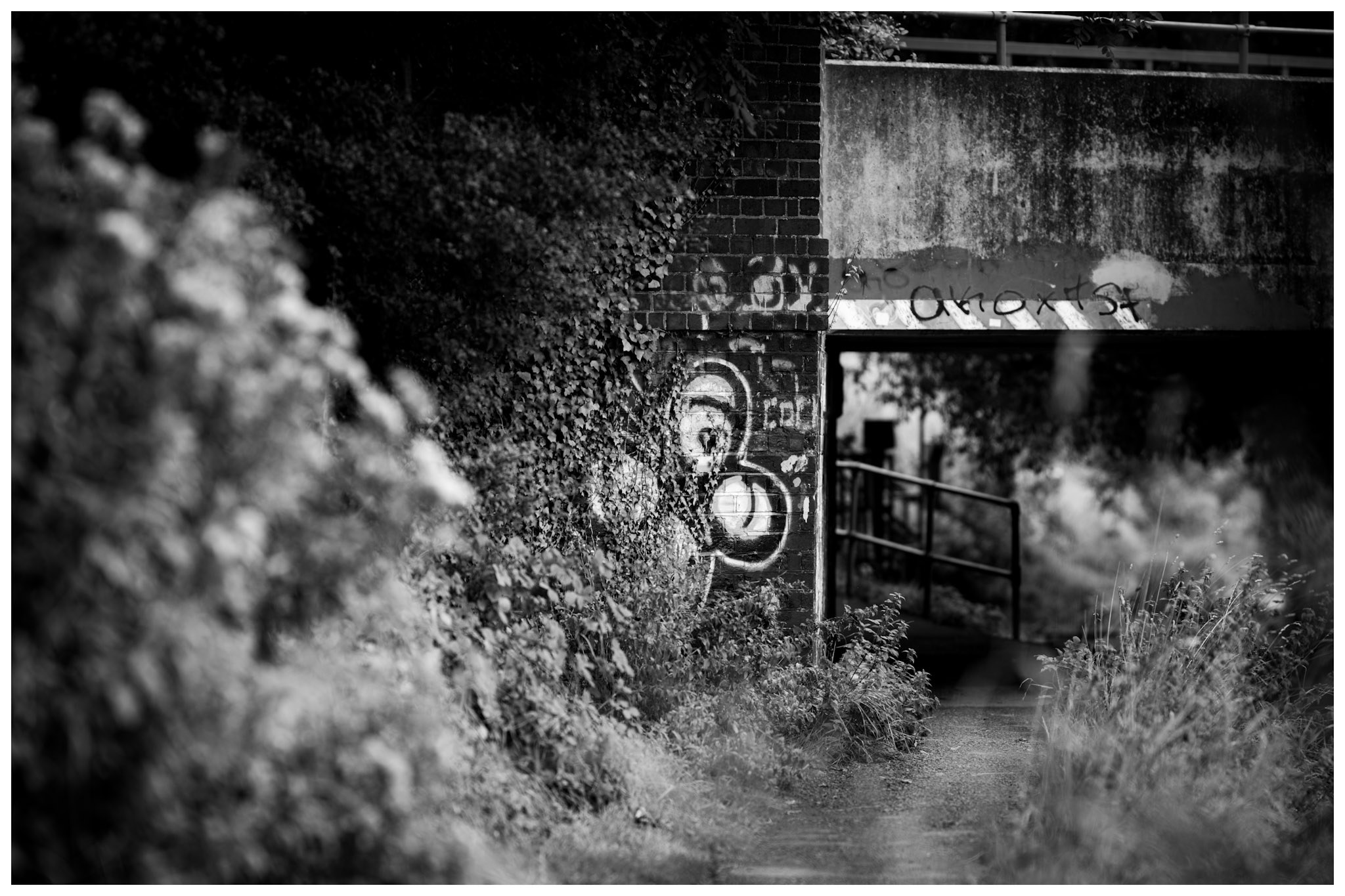 A black-and-white riverside path disappears beneath a graffiti-marked brick bridge, surrounded by dense vegetation.