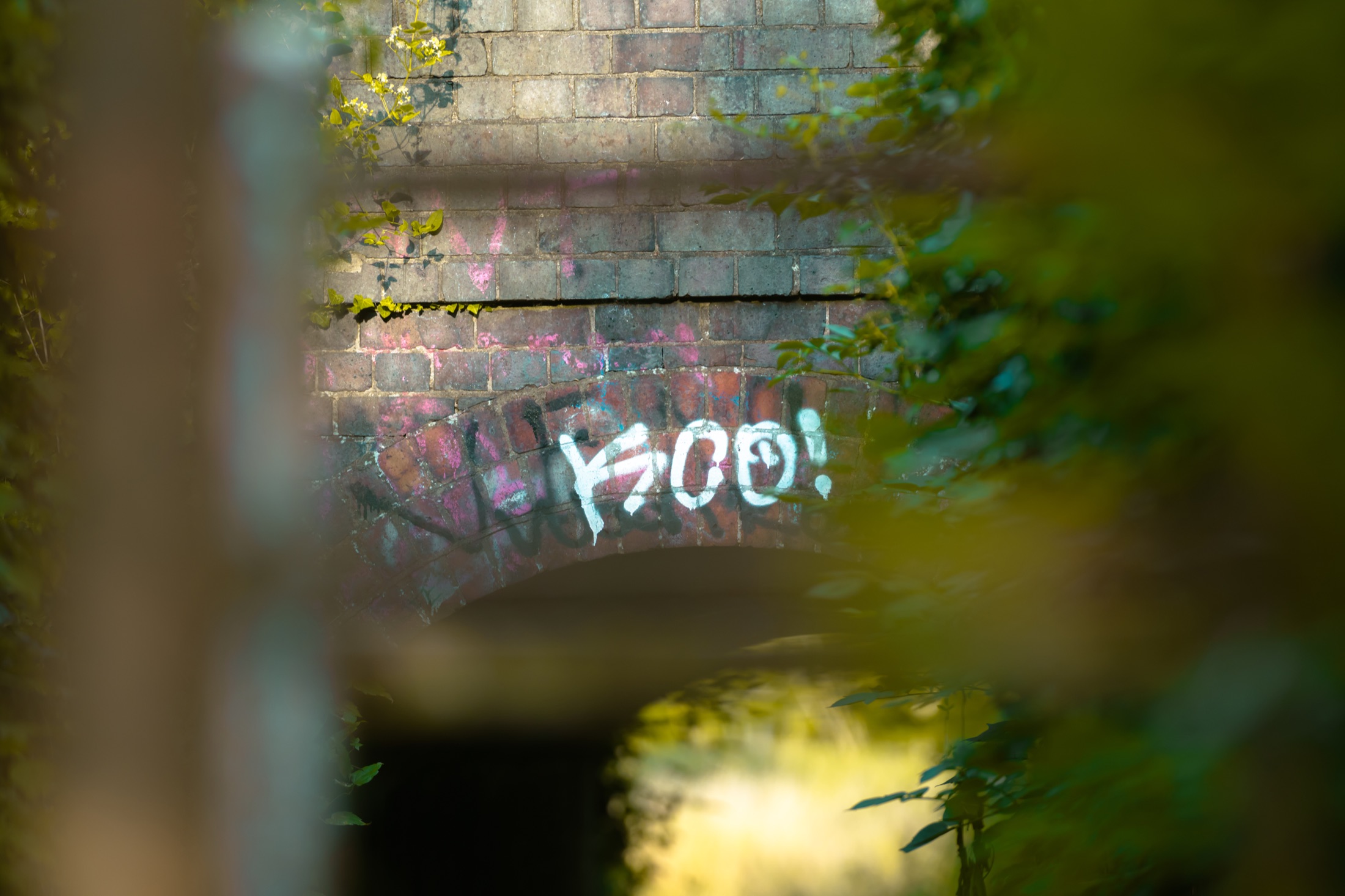 An old brick bridge over the River Slea with white graffiti, framed through soft leaves.